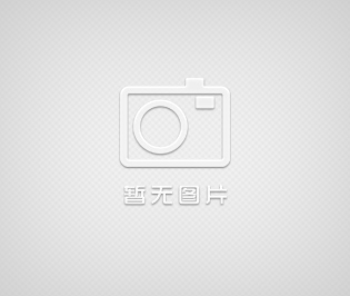 HC44X橡膠瓣止回閥
